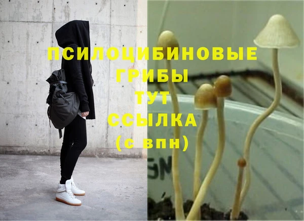 прущие грибы Алексин